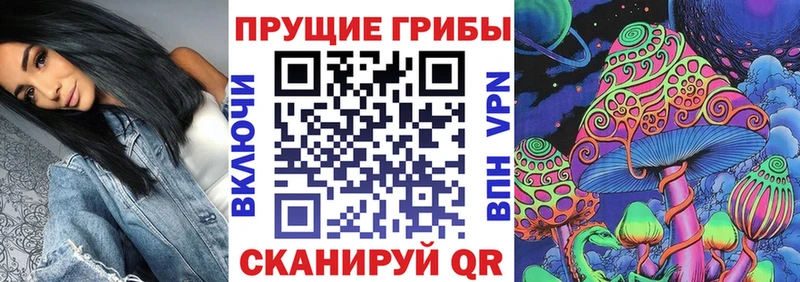 Галлюциногенные грибы ЛСД  купить  цена  MEGA ссылки  Курлово 